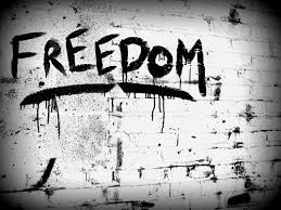 freedom (zdroj: asylumonline.net)